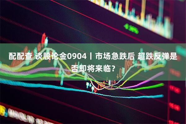 配配查 谈股论金0904丨市场急跌后 超跌反弹是否即将来临？