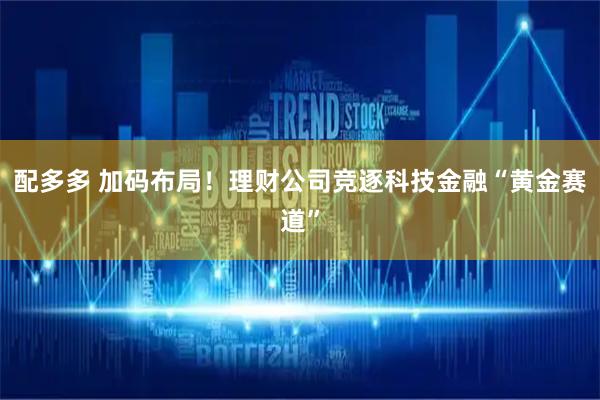 配多多 加码布局！理财公司竞逐科技金融“黄金赛道”