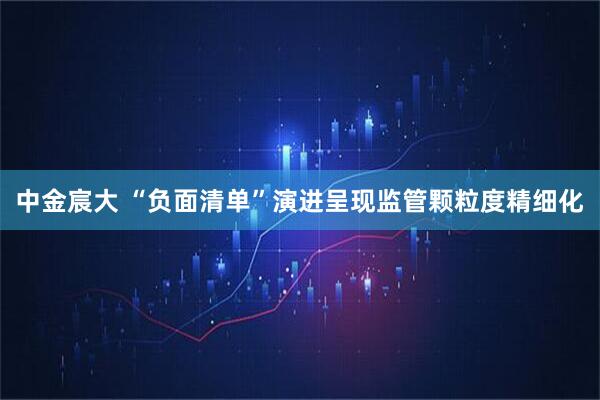 中金宸大 “负面清单”演进呈现监管颗粒度精细化