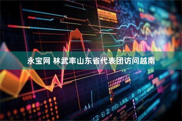 永宝网 林武率山东省代表团访问越南
