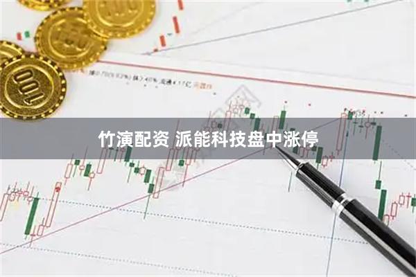 竹演配资 派能科技盘中涨停