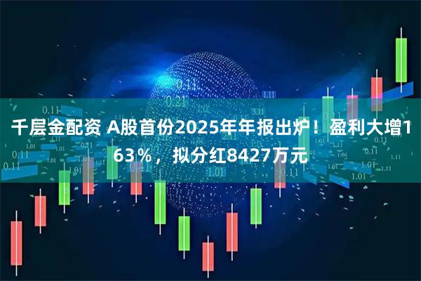 千层金配资 A股首份2025年年报出炉!盈利大增163%,拟分红8427万元