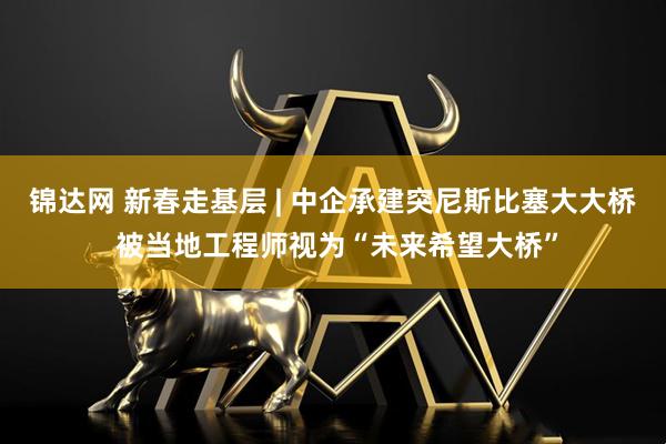 锦达网 新春走基层 | 中企承建突尼斯比塞大大桥 被当地工程师视为“未来希望大桥”